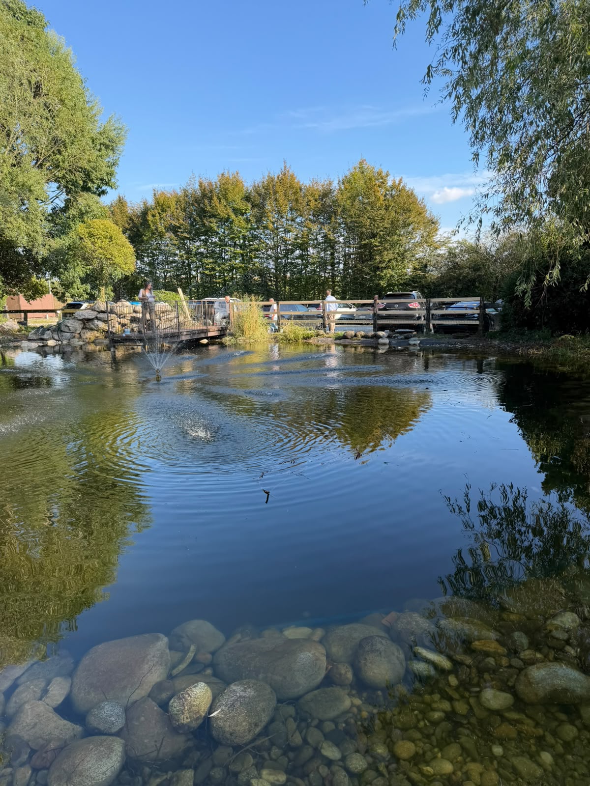 Laghetto con ponte e fontane