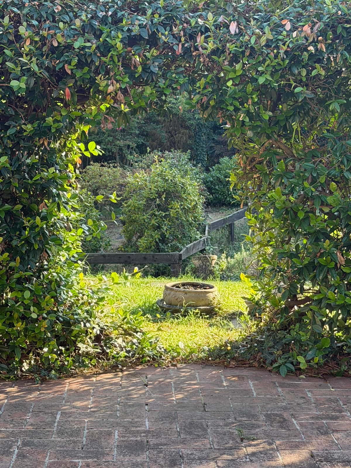 Angolo fiorito del giardino