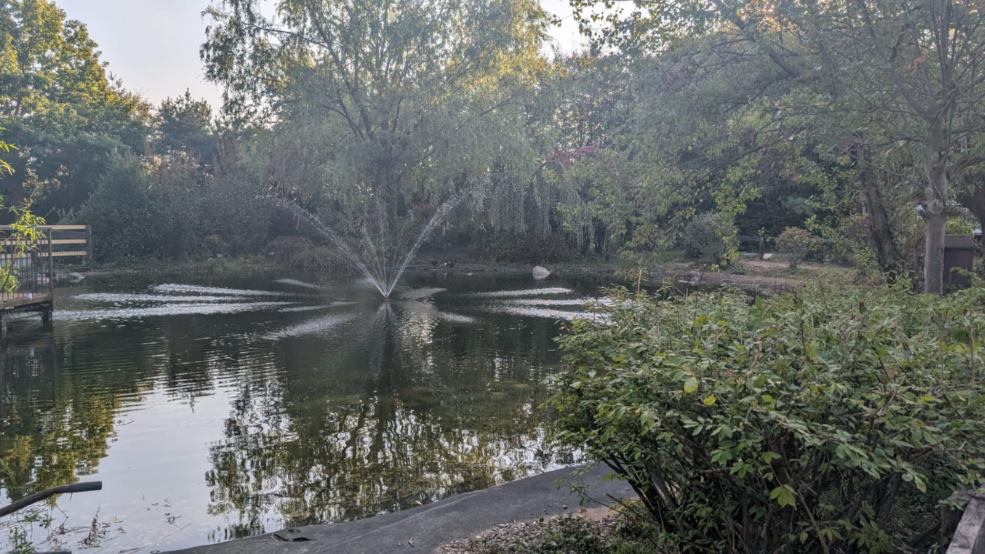 Fontana del laghetto immersa nel verde