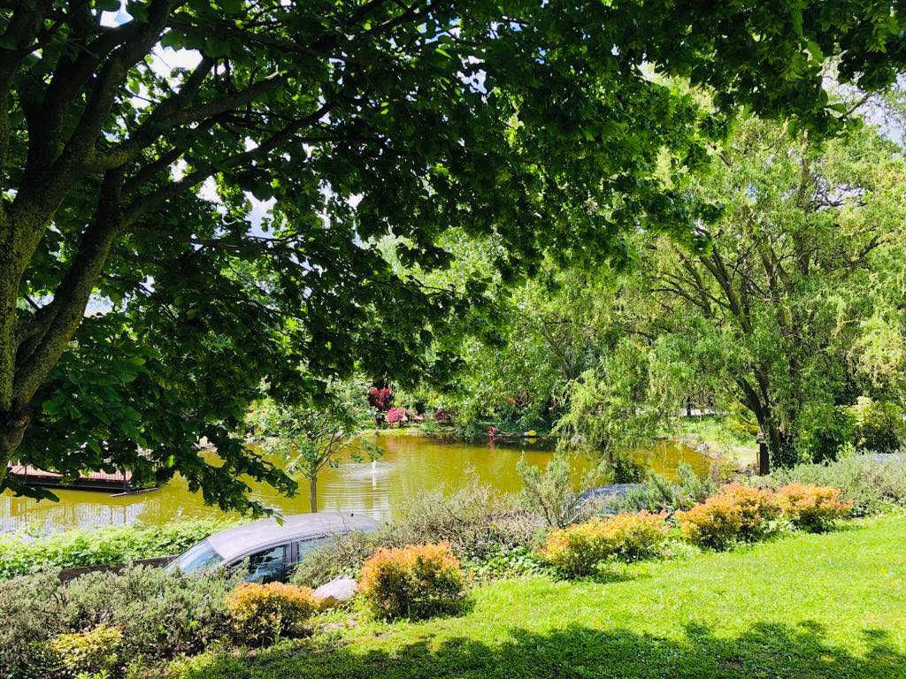 Laghetto nel giardino